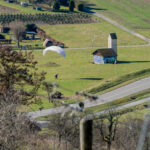 Frühlingswetter im Februar