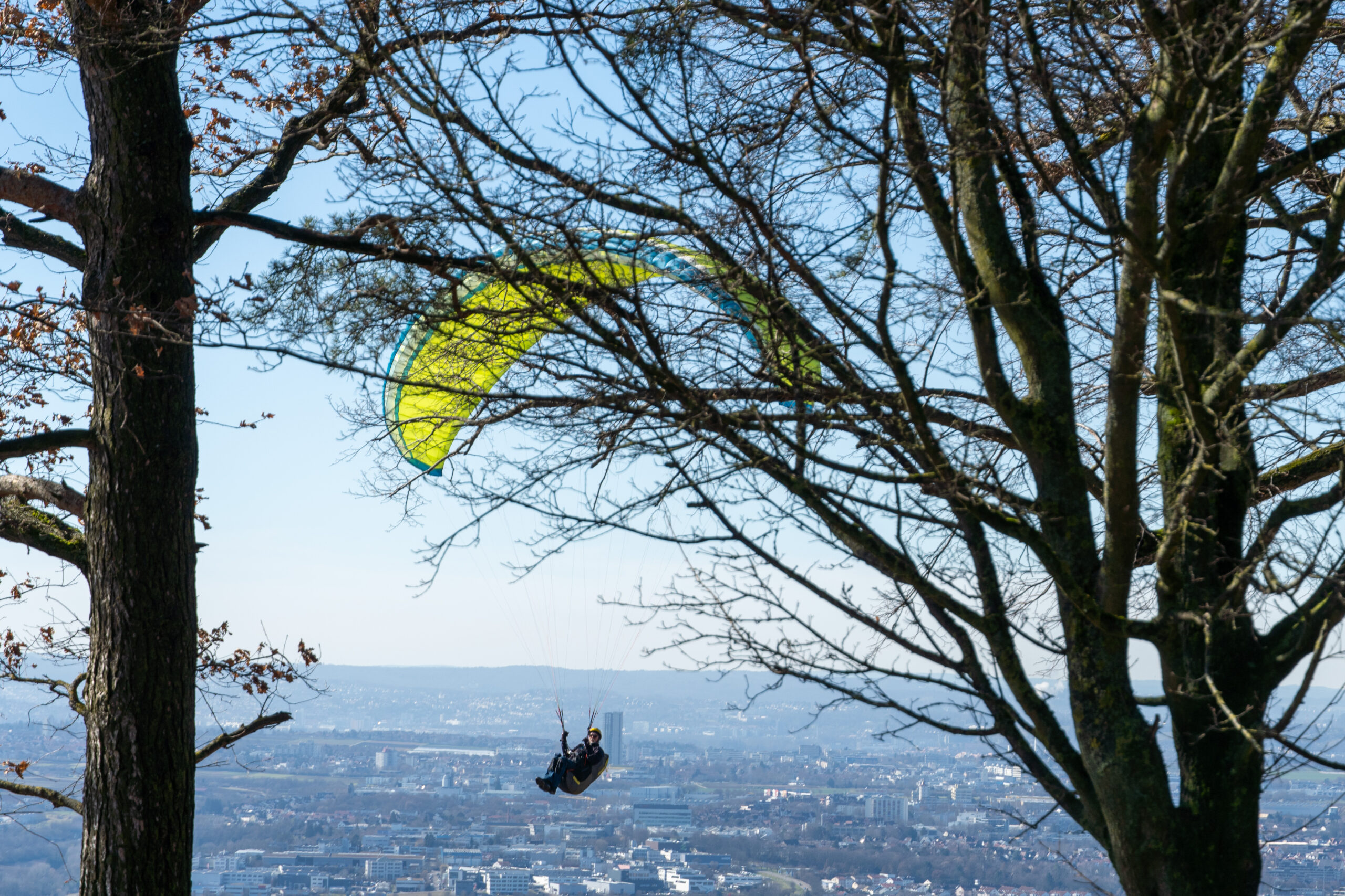 20260225-DSC04070_Original