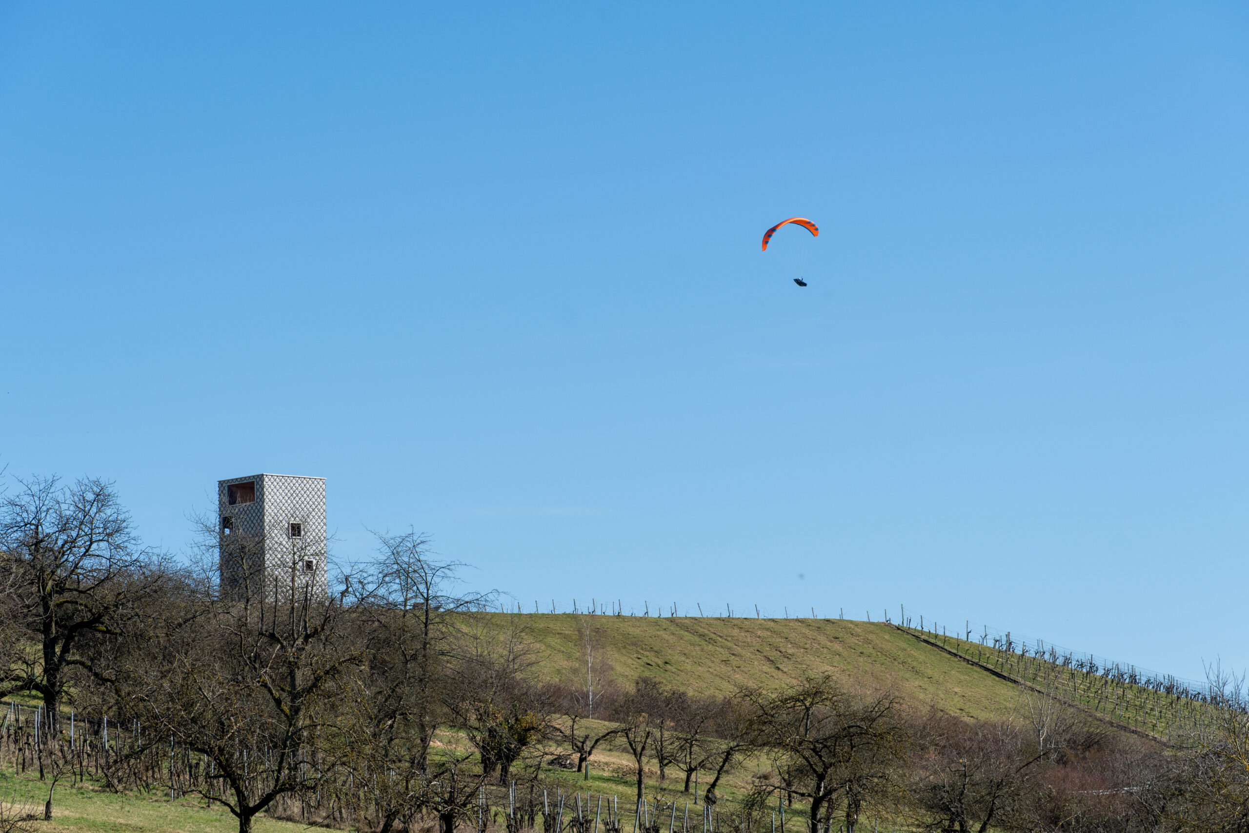 20260225-DSC04088_Original