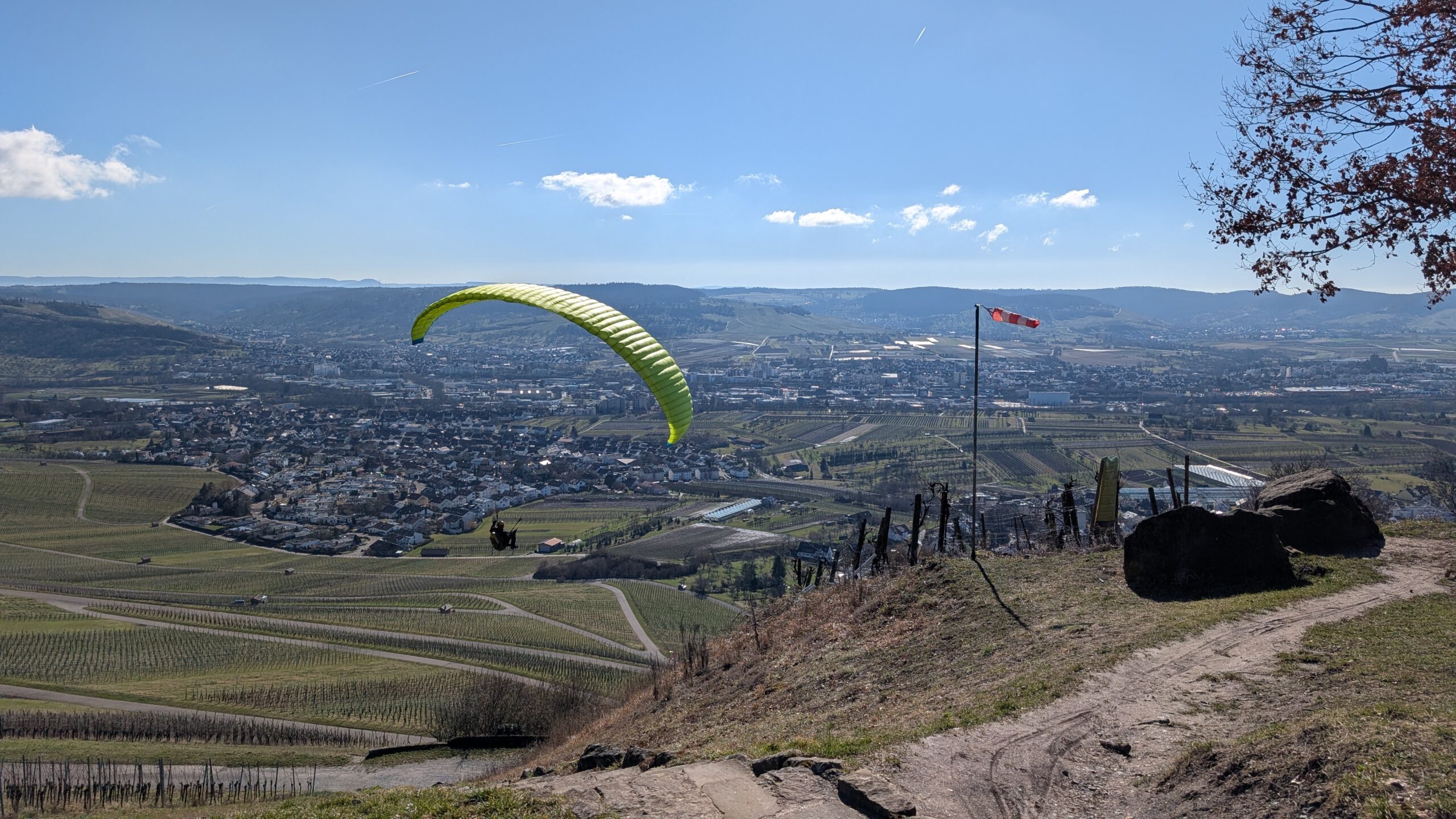 PXL_20260225_121314098.MP_Original