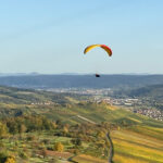 Vereinsmeisterschaft 2026