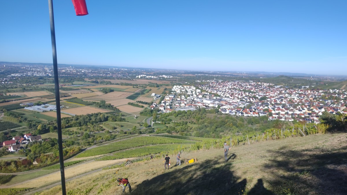 IMG-20260926-WA0015